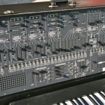 arp26005